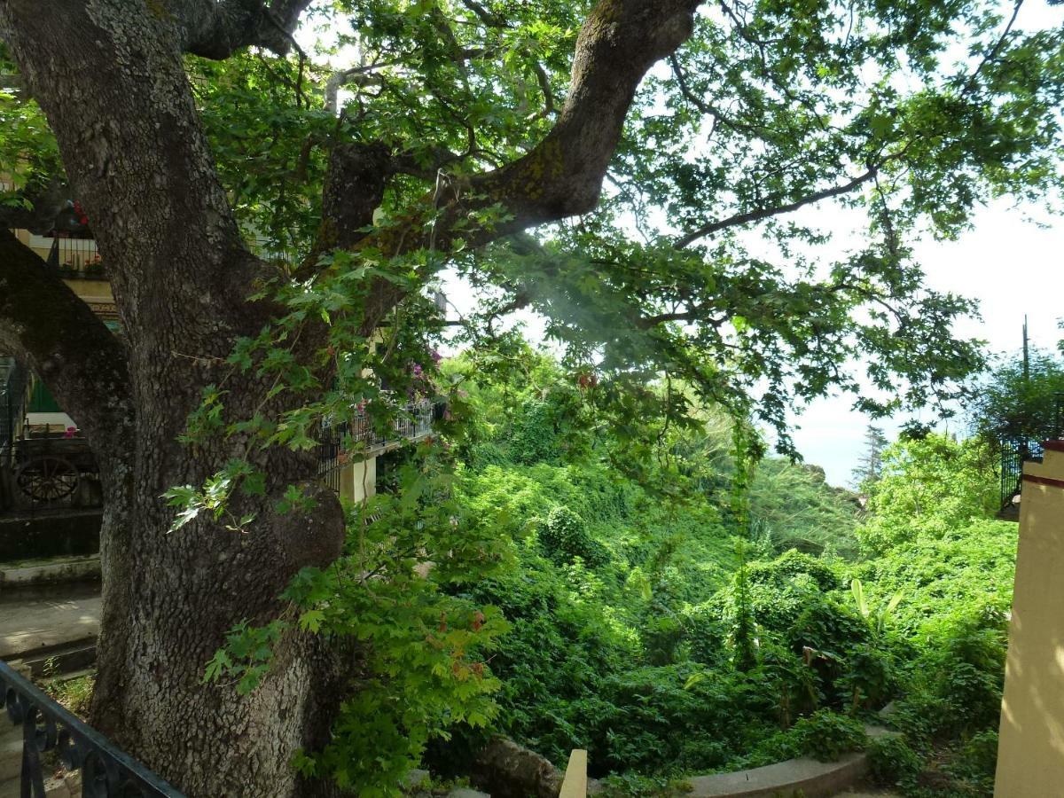 Marinos Studios At Lourdata Village Exterior foto